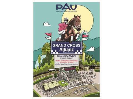 Courses Hippodrome de Pau - Grand Cross Allianz