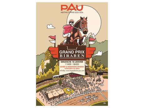 Courses Hippodrome de Pau - Grand Prix Biraben