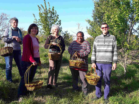 Stage panier sur arceaux
