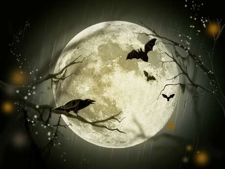 Concert : Rituel Nocturne
