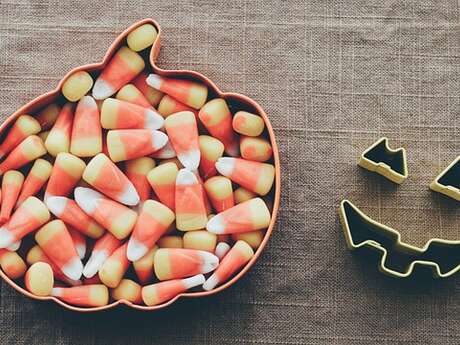 La chasse aux bonbons pour Halloween - Maison de la Nature
