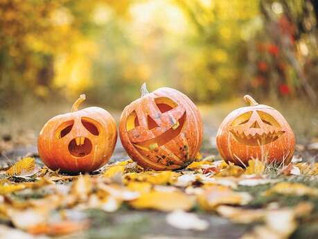 Atelier créatif - Halloween