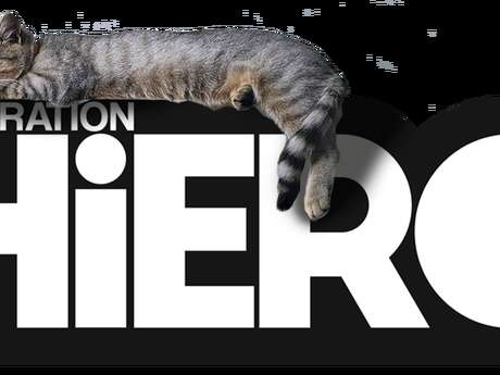 Concert Pain in Magazine