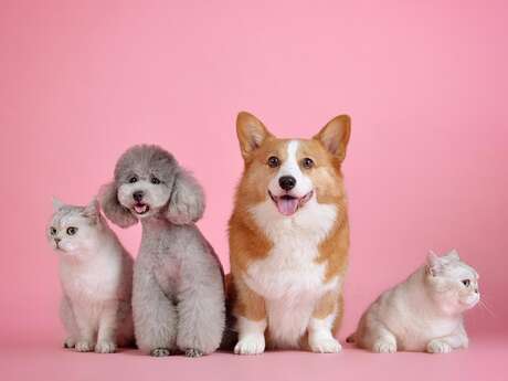 Salon des animaux et du bien-être animal