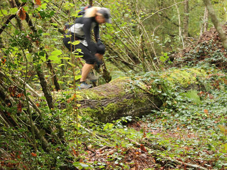 Foulées du Pays Sostranien