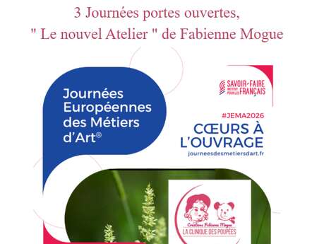 Journées portes ouvertes - La clinique des poupées