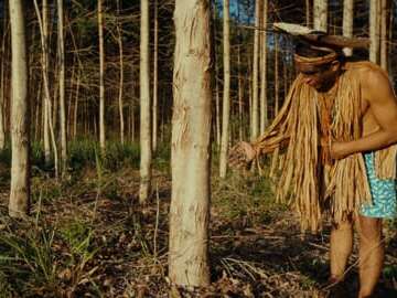 Ciné-débat > Planter à tout prix