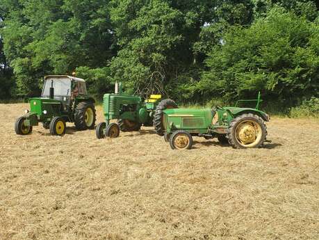 Concours de labour et vide greniers