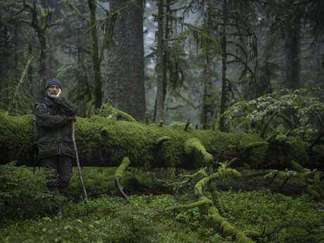 Ciné-crêpes : Le chant des forêts