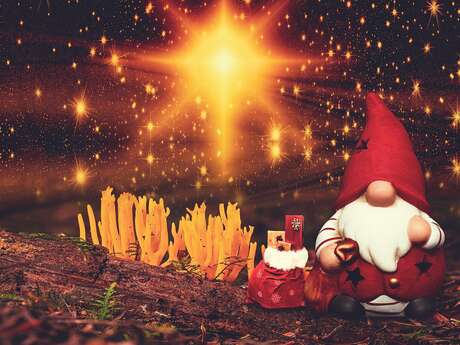 L'heure du Conte - Petites oreilles  à la bibliothèque