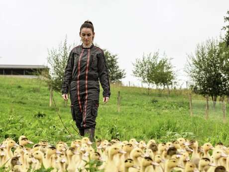 Portes ouvertes à la découverte des producteurs de Foie gras à Mauries
