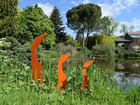 Sortie Nature : La vie des arbres