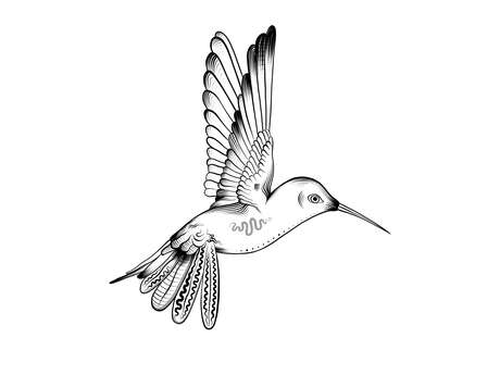 Stage d'initiation au dessin naturaliste