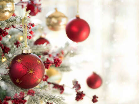 Marché de Noël de Charroux