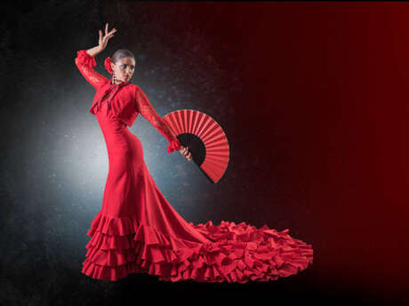 Spectacle Flamenco