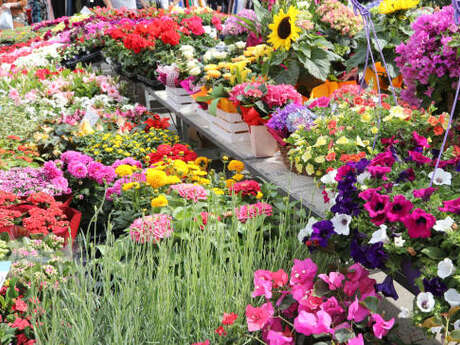 Marché printanier
