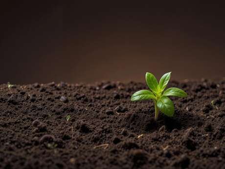 Un petit mot à planter