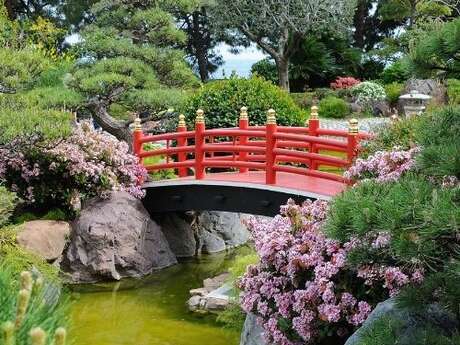 Les jardins Japonais