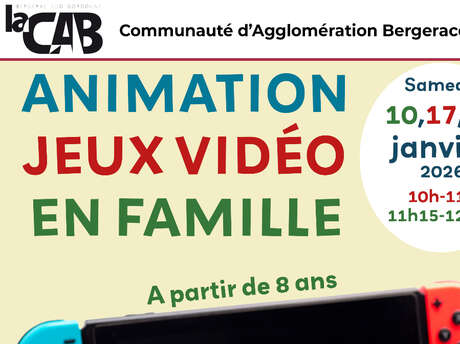 Animation jeux vidéo en famille