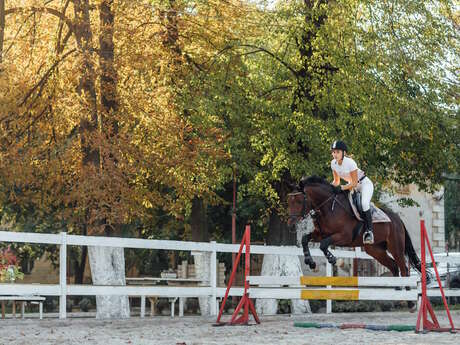 Concours Club Poneys