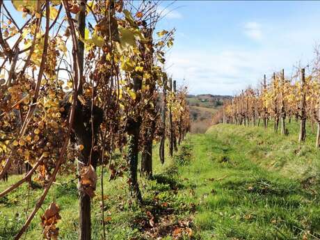 Clos Labrée