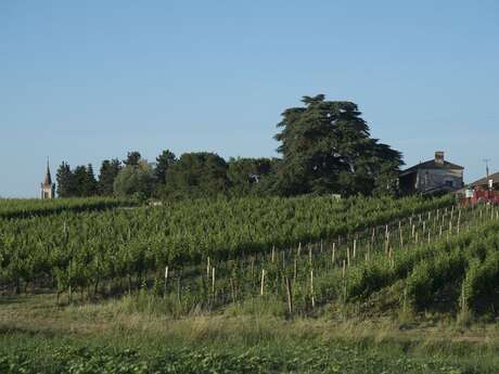Château le Payral | Apérobio d'été