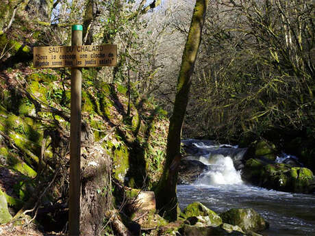 Sous les ombrages du Périgord Vert