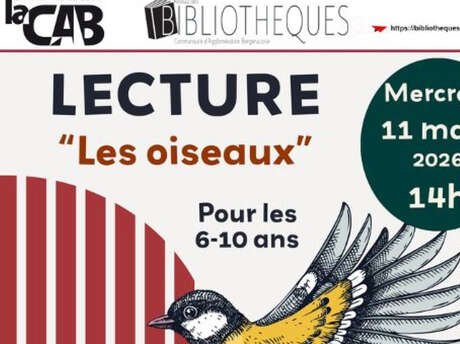 Lecture | Les oiseaux