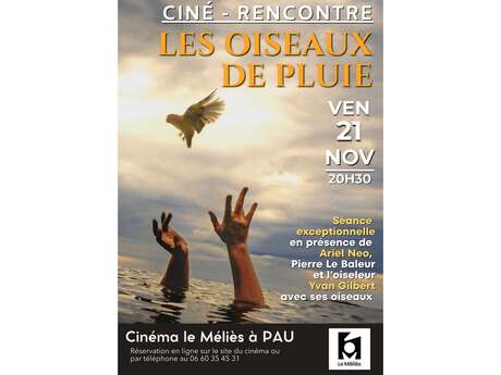 Les Oiseaux de Pluie