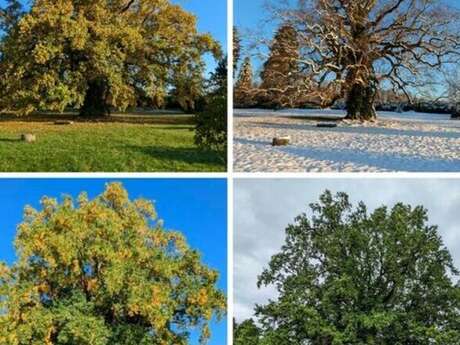 Jardin de Lessines - Rendez-vous aux jardins