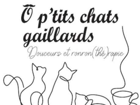 O P'tits chats gaillards