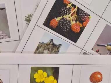 Animation Nature - Loto nature - Limoges