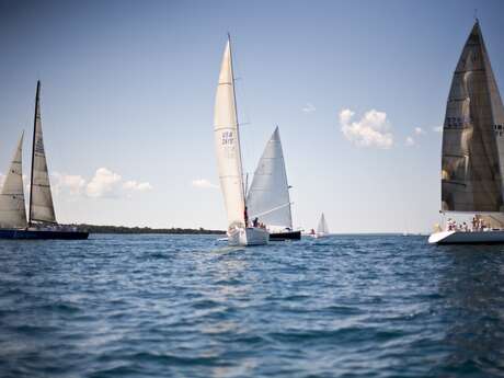 Sailorz Film Festival