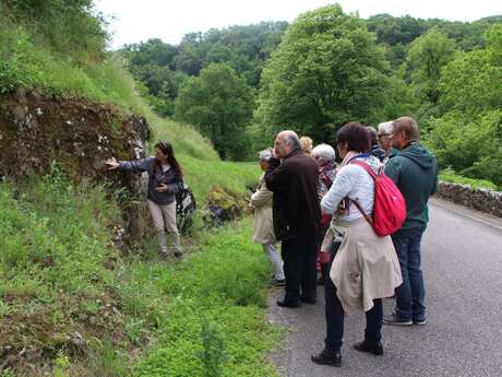 Balade naturaliste à Rochechouart