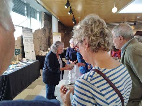 Visite commentée de l'exposition "Le kaolin : de la carrière à porcelaine"