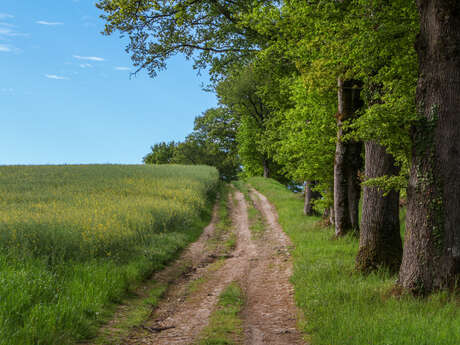 Les Hauts d'Oradour