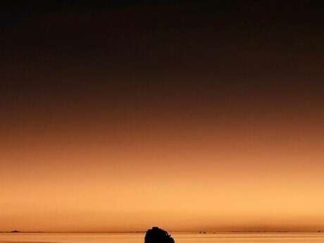 Exposition "Les Yeux sur le monde"