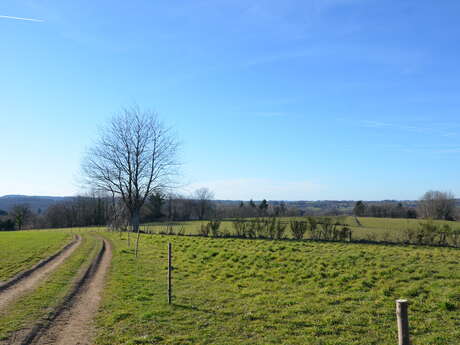 Circuit de Caux