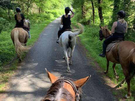 Ecole d'équitation des Perrières