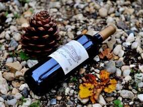 SCEA Vignobles des Quatre Vents