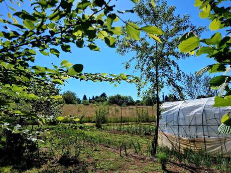 Visite de la petite ferme des Marmiers