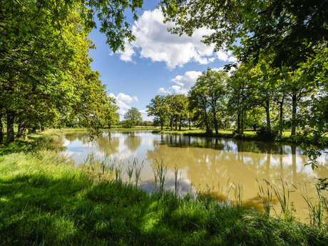 Aire de pique nique - Plan d'eau de Saint-Rémy