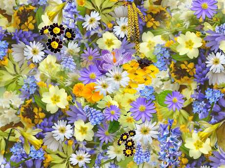9ème Fête des Plantes, du Jardin et de la Nature
