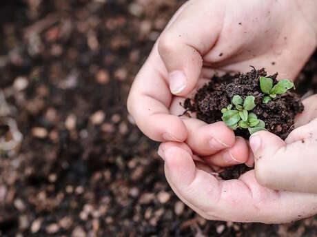 Atelier parent-enfant - les secrets du jardin et de la forêt