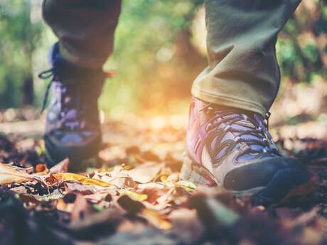 Balade Commentée à la Découverte de la Couze