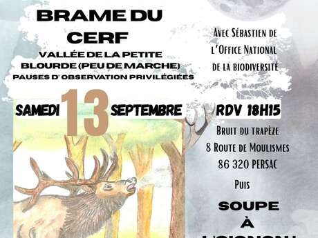 Animation "Brâme du cerf"
