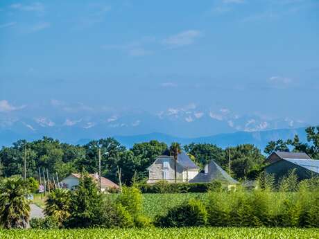 Uzein - Autour du Luy de Béarn