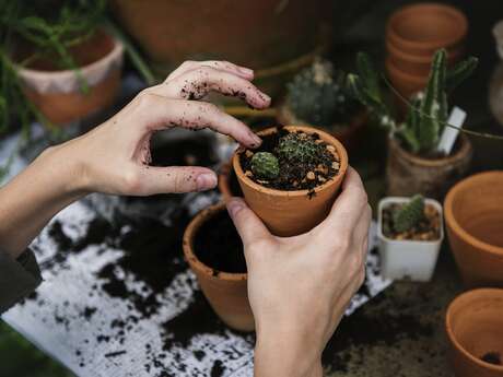 Fêter le printemps à la grainothèque