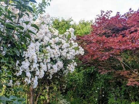 Jardin aux oiseaux (visites guidées et visites libres) - Rendez-vous aux jardins