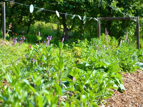 Visite libre du Jardin des Sens - Rendez-vous aux Jardins